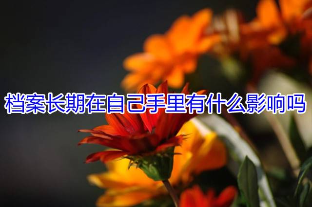 档案长期在自己手里有什么影响吗