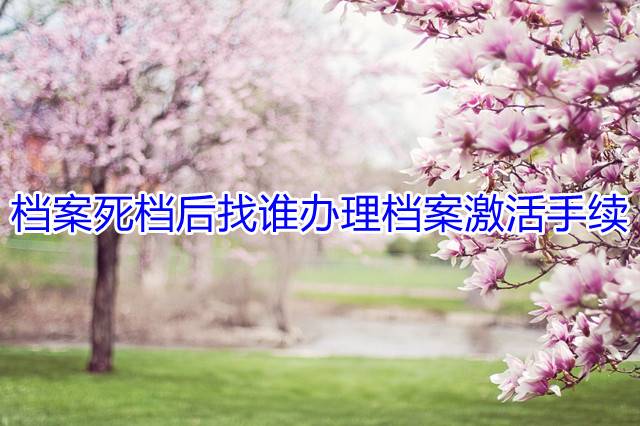 档案死档后找谁办理档案激活手续