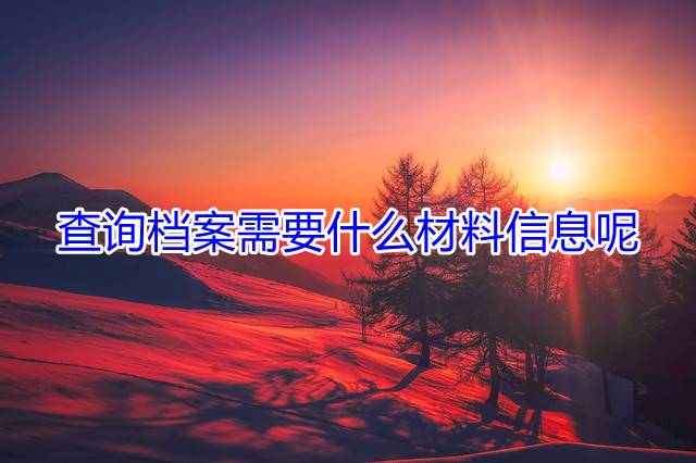 查询档案需要什么材料信息呢