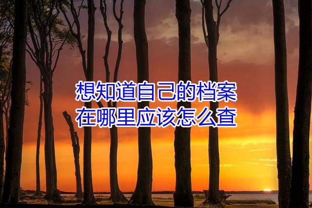 想知道自己的档案在哪里应该怎么查