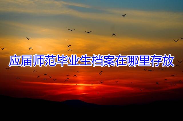 应届师范毕业生档案在哪里存放