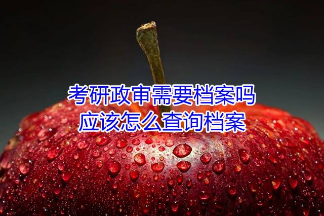 考研政审需要档案吗，应该怎么查询档案