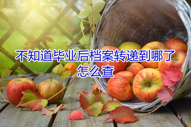 不知道毕业后档案转递到哪了，怎么查
