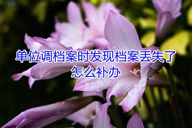 单位调档案时发现档案丢失了怎么补办