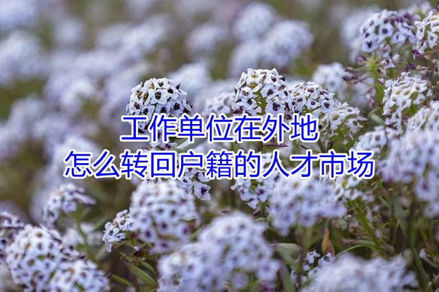 工作单位在外地怎么转回户籍的人才市场