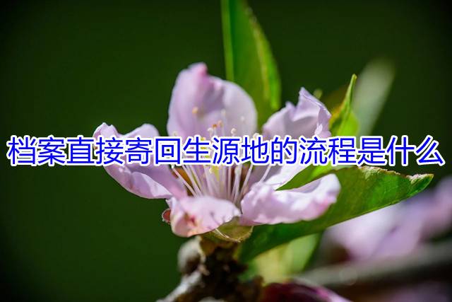 档案直接寄回生源地的流程是什么