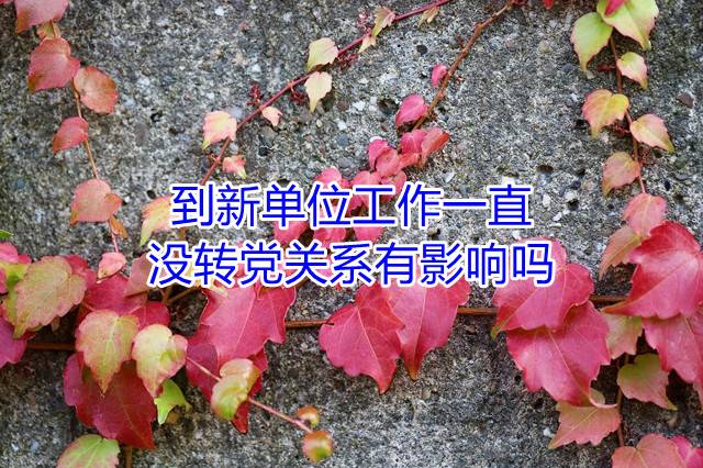 到新单位工作一直没转党关系有影响吗