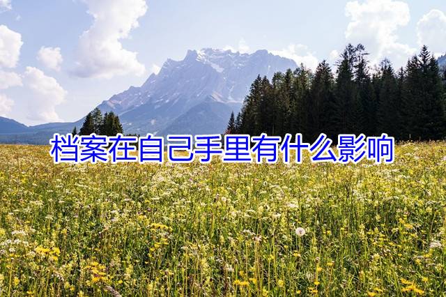 档案在自己手里有什么影响