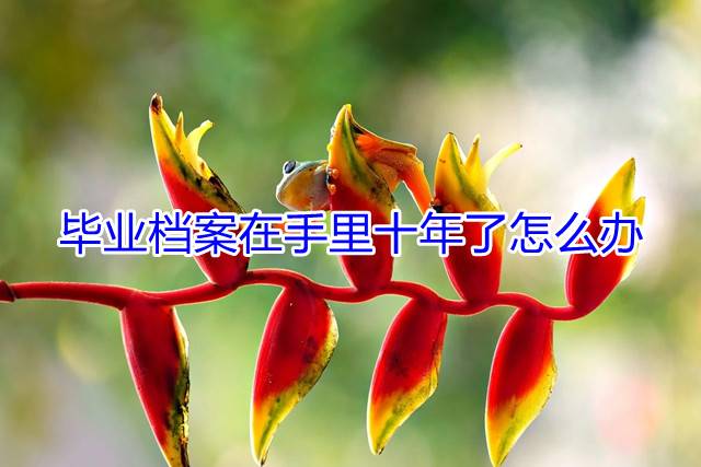 毕业档案在手里十年了怎么办