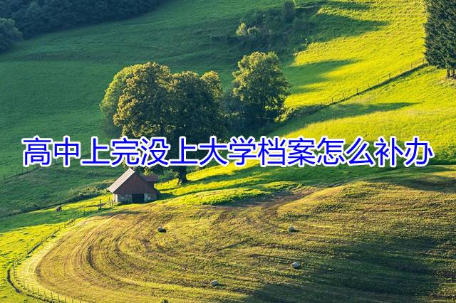 高中上完没上大学档案怎么补办