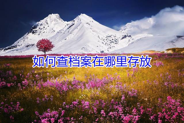 如何查档案在哪里存放