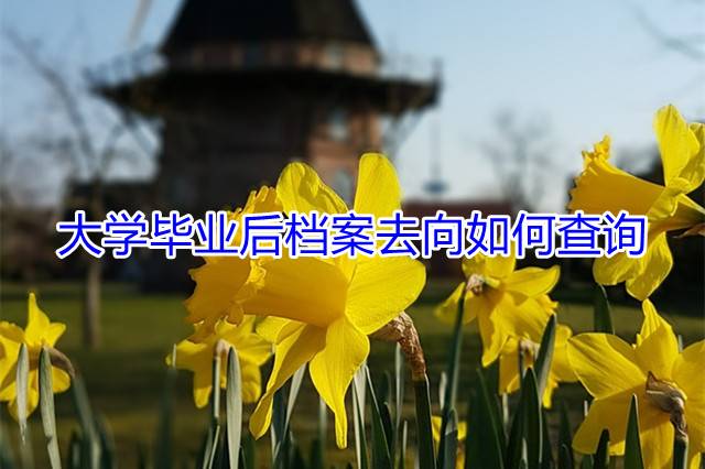 大学毕业后档案去向如何查询