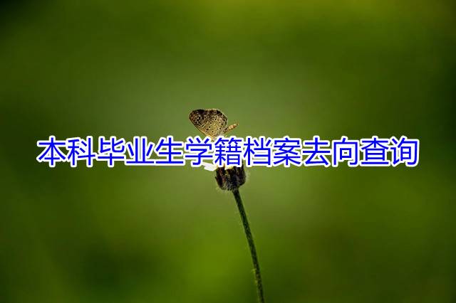 本科毕业生学籍档案去向查询