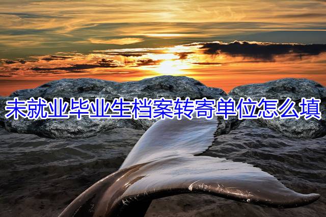 未就业毕业生档案转寄单位怎么填