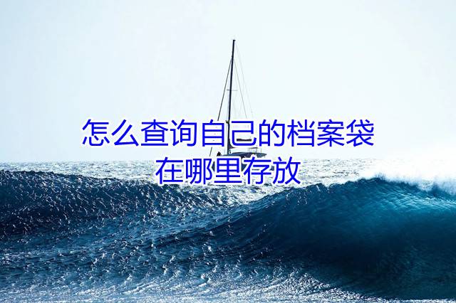 怎么查询自己的档案袋在哪里存放