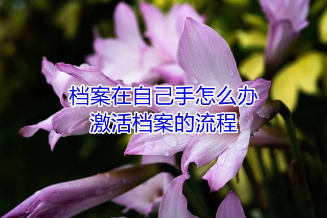 档案在自己手怎么办，激活档案的流程
