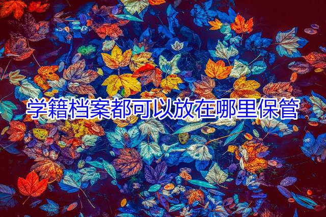学籍档案都可以放在哪里保管