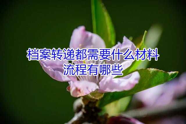 档案转递都需要什么材料，流程有哪些