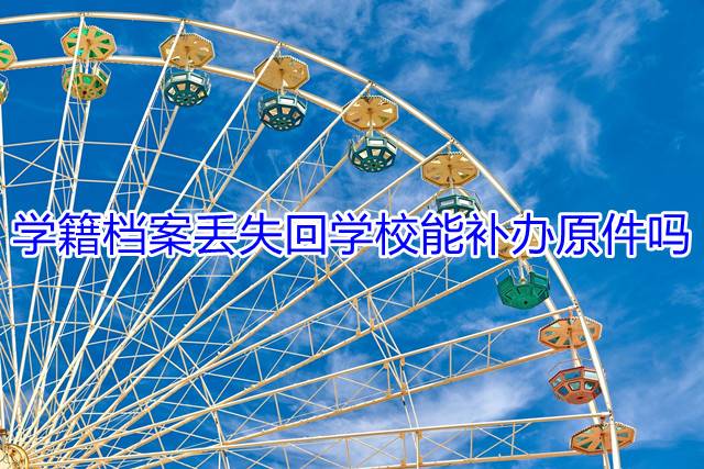 学籍档案丢失回学校能补办原件吗