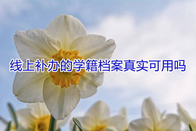 线上补办的学籍档案真实可用吗