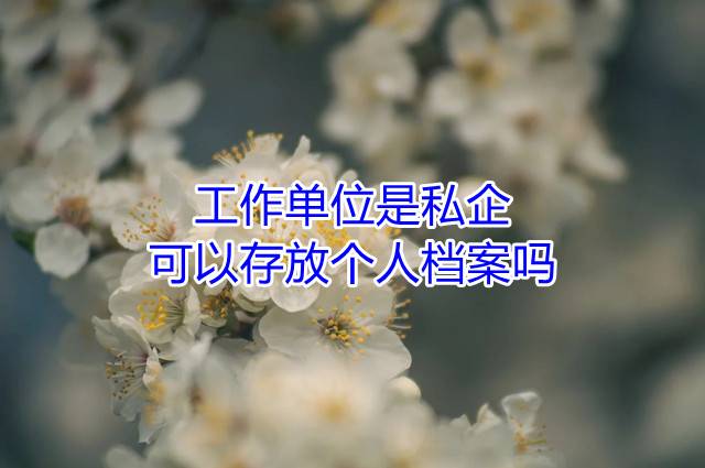 工作单位是私企可以存放个人档案吗