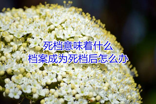 死档意味着什么，档案成为死档后怎么办