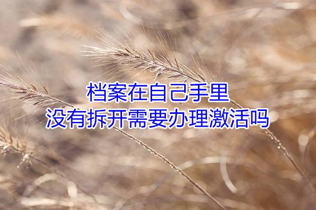 档案在自己手里没有拆开需要办理激活吗