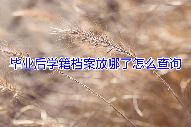 毕业后学籍档案放哪了怎么查询