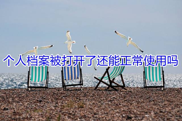 个人档案被打开了还能正常使用吗