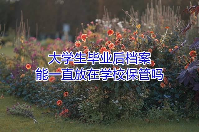 大学生毕业后档案能一直放在学校保管吗