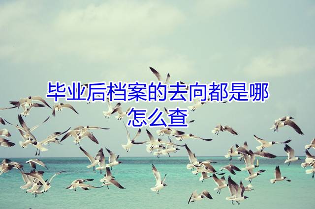 毕业后档案的去向都是哪，怎么查