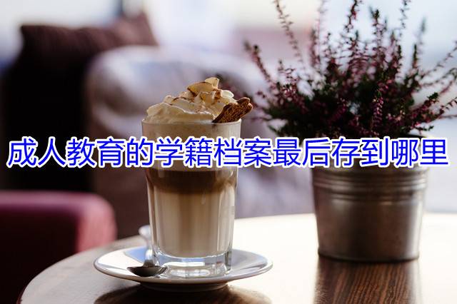 成人教育的学籍档案最后存到哪里