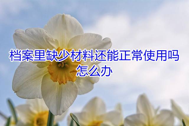 档案里缺少材料还能正常使用吗，怎么办