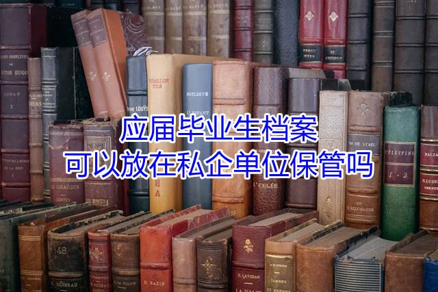 应届毕业生档案可以放在私企单位保管吗