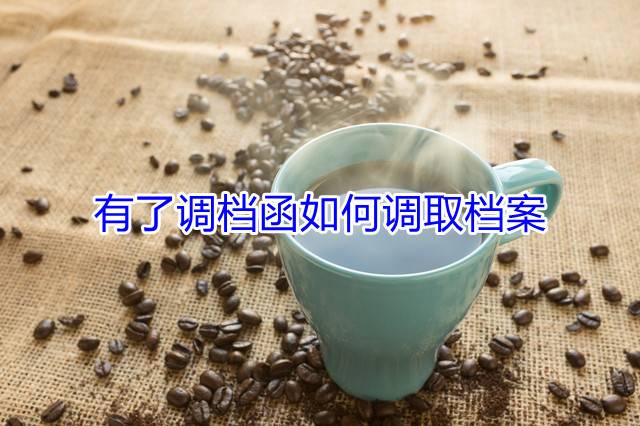 有了调档函如何调取档案