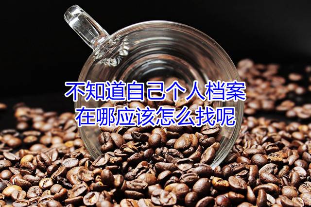 不知道自己个人档案在哪应该怎么找呢
