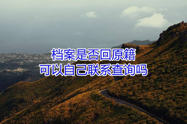 档案是否回原籍可以自己联系查询吗