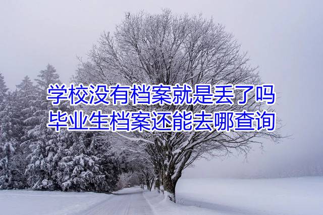 学校没有档案就是丢了吗，毕业生档案还能去哪查询