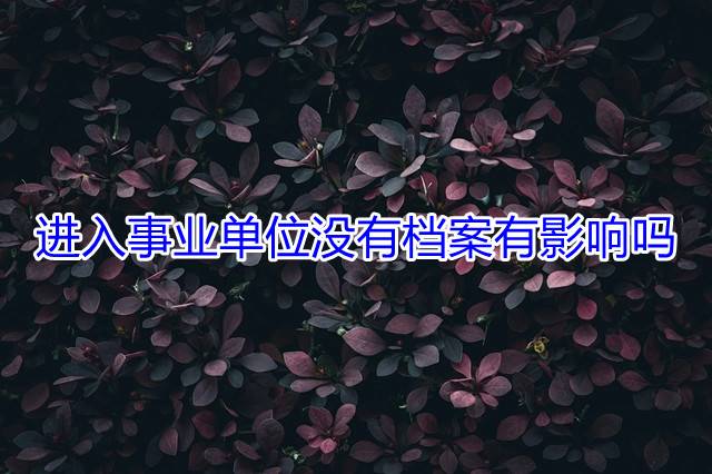 进入事业单位没有档案有影响吗