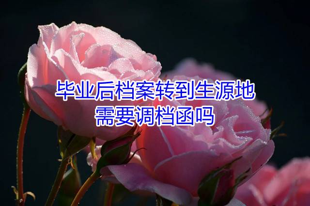 毕业后档案转到生源地需要调档函吗