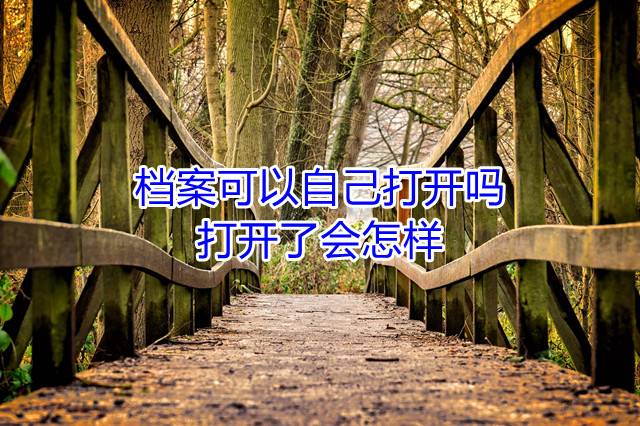 档案可以自己打开吗，打开了会怎样