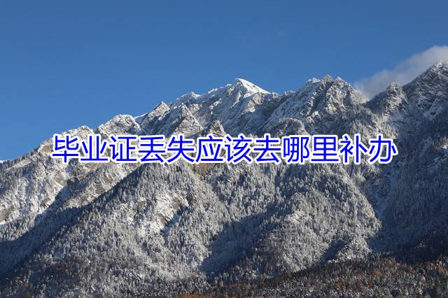 毕业证丢失应该去哪里补办