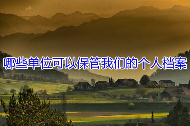 哪些单位可以保管我们的个人档案