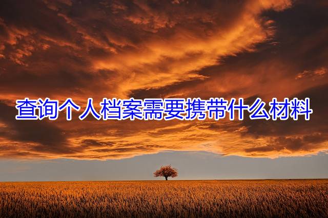 查询个人档案需要携带什么材料