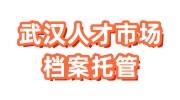 武汉人才市场档案托管怎么办理，网上办理流程大全