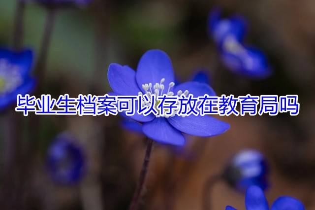毕业生档案可以存放在教育局吗