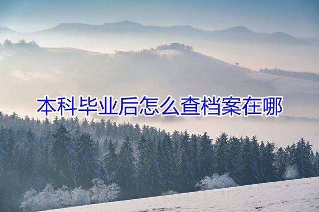 本科毕业后怎么查档案在哪