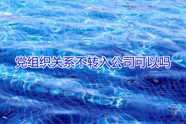 党组织关系不转入公司可以吗