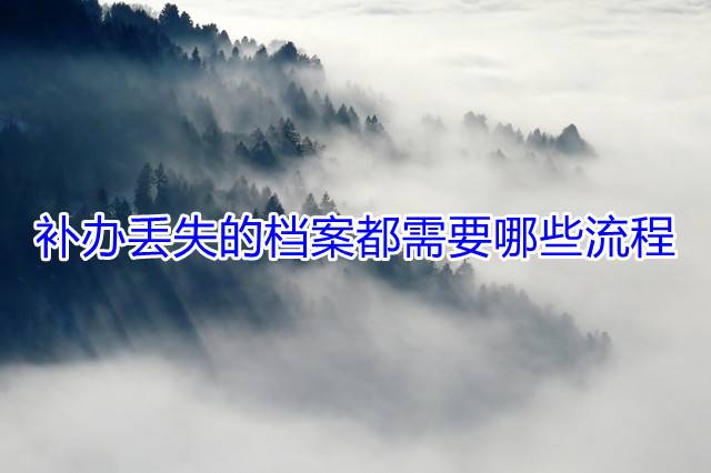 补办丢失的档案都需要哪些流程
