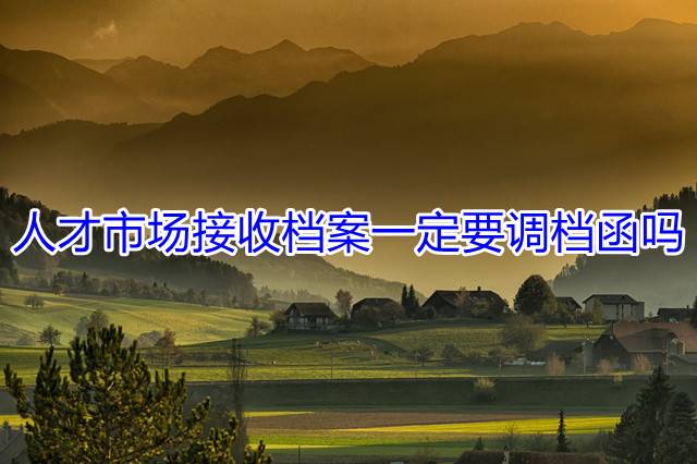 人才市场接收档案一定要调档函吗